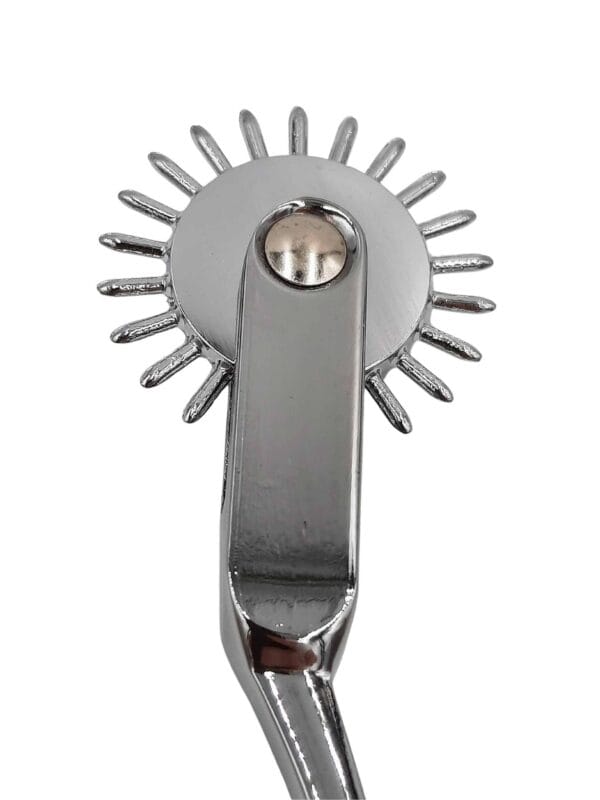 Closeup of a wartenberg wheel, looks similar to a spur.